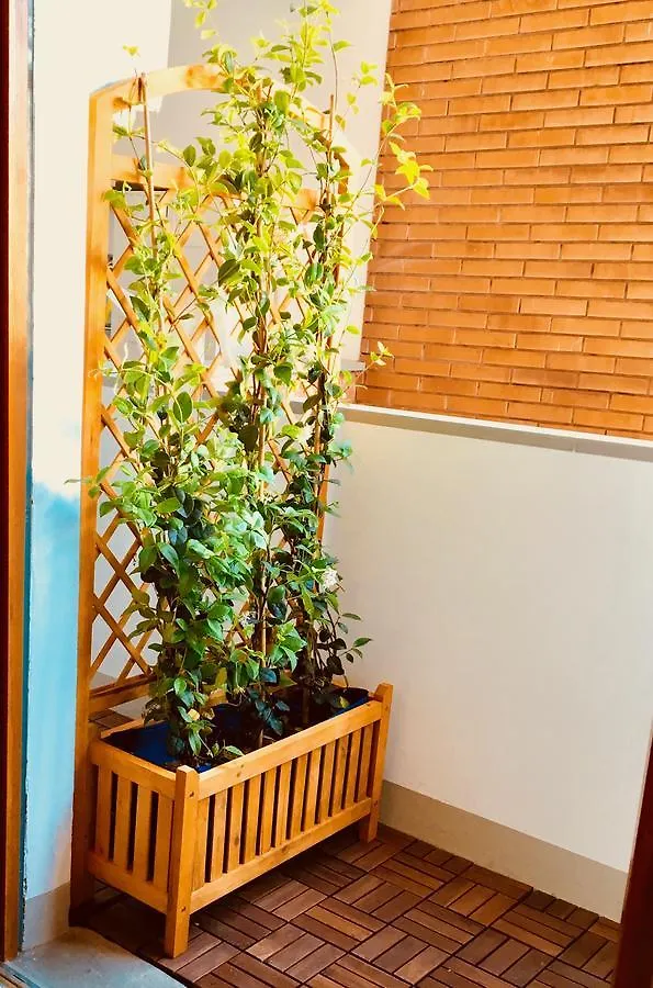 Casa de hóspedes Bibi Hotel Pisa Itália